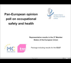 Pan-European opinion poll on occupational safety and health